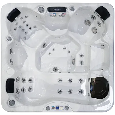 Avalon EC-849L hot tubs for sale in Folsom